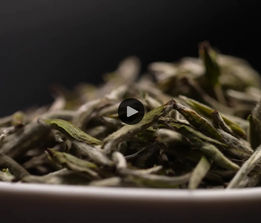 An introduction to white tea